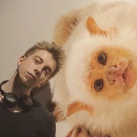 Anil Ozturk's profile picture