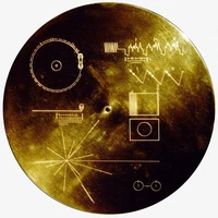 Mahir Daiyan's profile picture