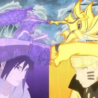 Ngoc-Dung Nguyen's profile picture