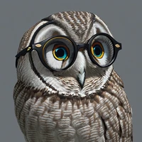 HaraFumitaka's profile picture