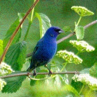 Trustworthy-AI-Group's profile picture