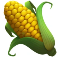 CoRNStack's profile picture
