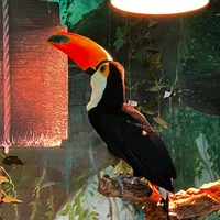 Muhan Gao's profile picture