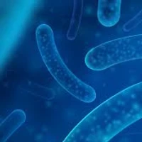 metalabs's profile picture