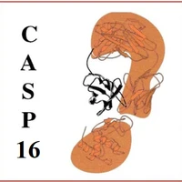 CASP (Critical Assessment of Structure Prediction)'s profile picture
