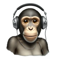 Razhan Hameed's profile picture