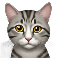 Shuhao's profile picture