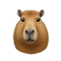 Lily Goulder's profile picture