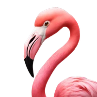 YANG YANG's profile picture