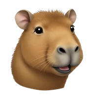 Oanh Nguyen's profile picture