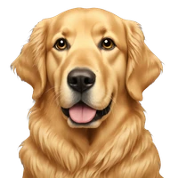 Timothy Powers's profile picture