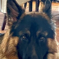 Steph's profile picture