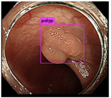 Screenshot 2024-07-08 at 02.42.43.png